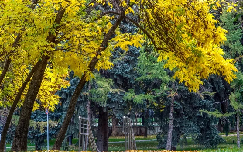 Heatwave and ground frosts to batter Kazakhstan