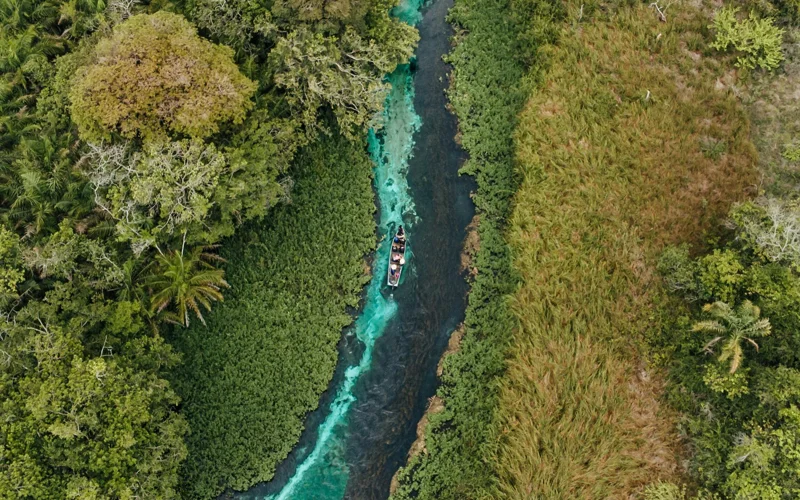 Brazil pledges $1bn to global tropical forest protection fund