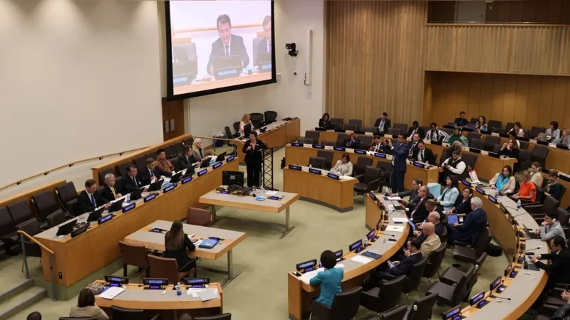 UN General Assembly panel session