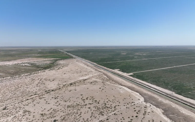 Древние курганы Туркестанской области уничтожаются под плантациями хлопка