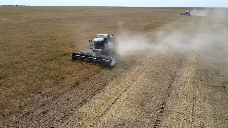 Жаркаинский район — в числе ключевых поставщиков урожая Акмолинской области