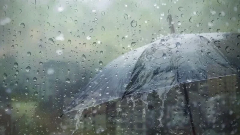 Rain