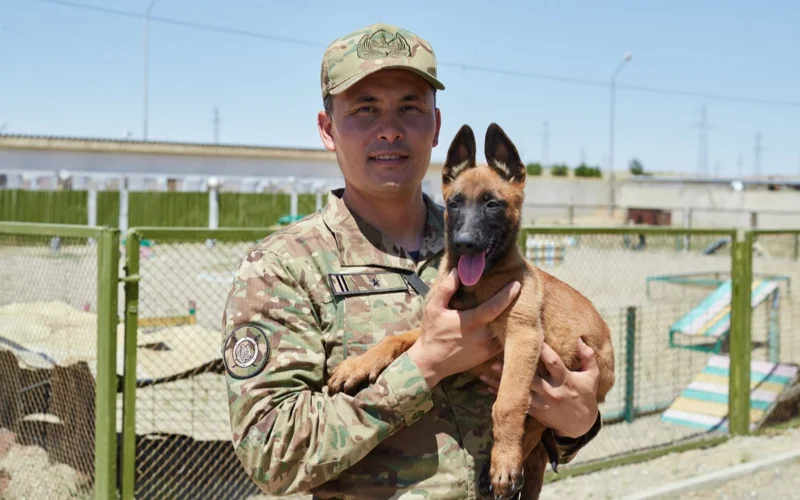 собаки, овчарки, солдаты, Нацгвардия