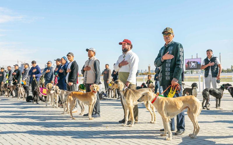 塔兹犬大奖赛在阿斯塔纳落幕 冠军犬来自阿拉木图