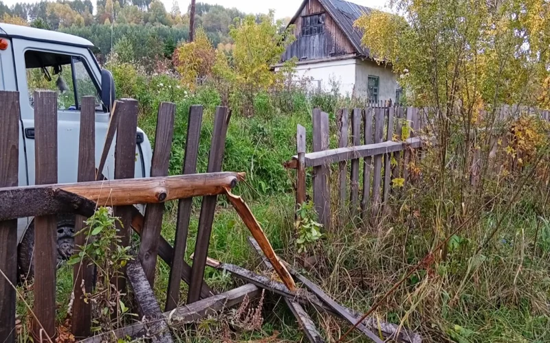 медведи наведываются в села и города в ВКО