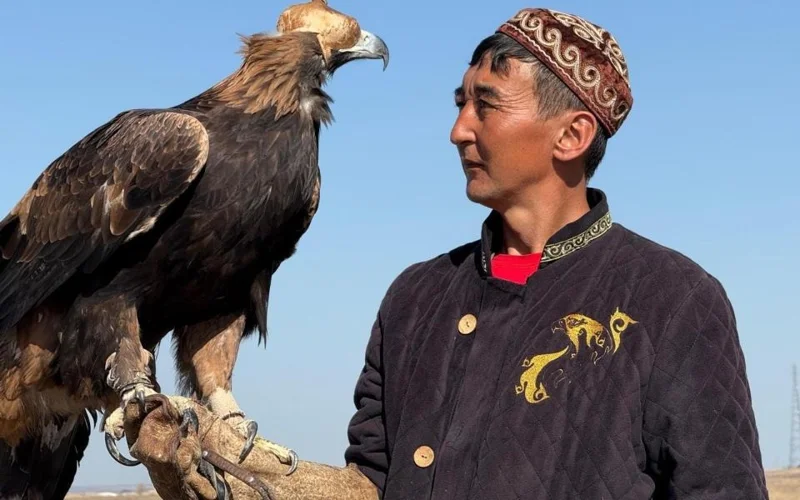 В Астане проходит международный турнир по охоте с ловчими птицами