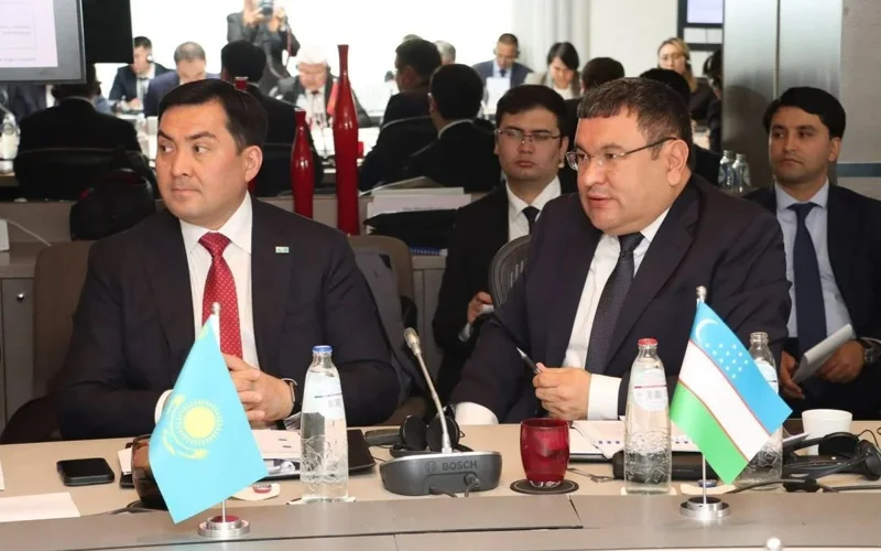 «Qambar-Ata GES-1» jobasyn júzege asyrýdyń kelesi qadamdary talqylandy