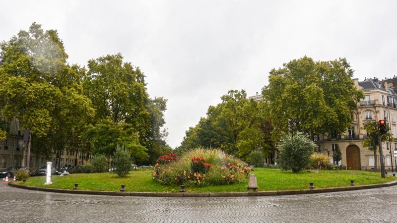 Тюльпаны из Казахстана расцветут в Париже Тюльпаны из Казахстана расцветут в Париже