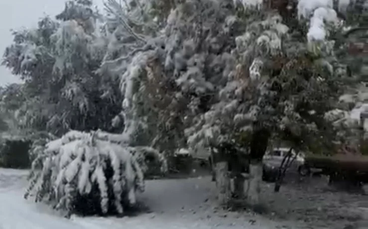 Первый снег выпал в Костанайской области