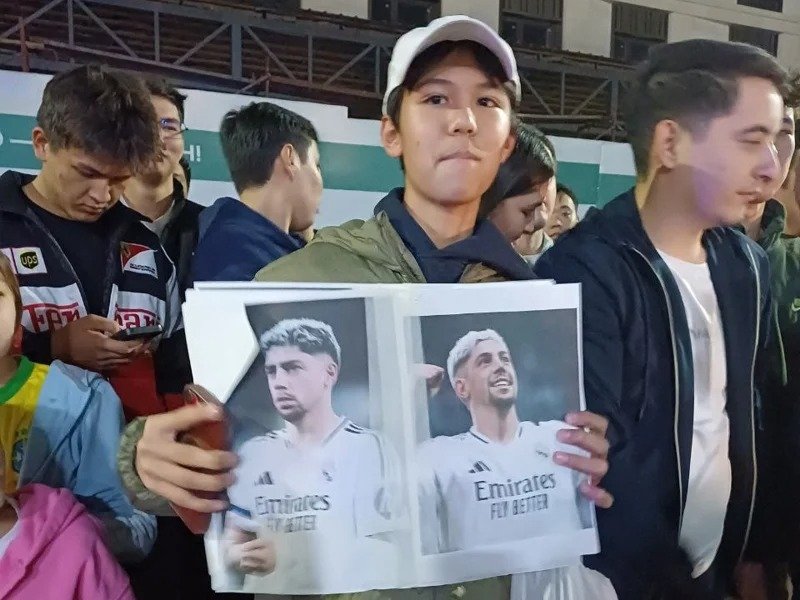 Fans