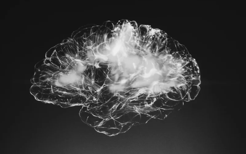 Brain cell 