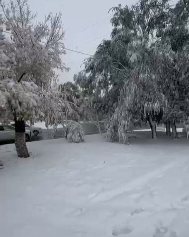 Первый снег выпал в Костанайской области Первый снег выпал в Костанайской области