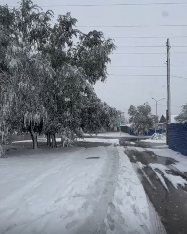 Первый снег выпал в Костанайской области Первый снег выпал в Костанайской области