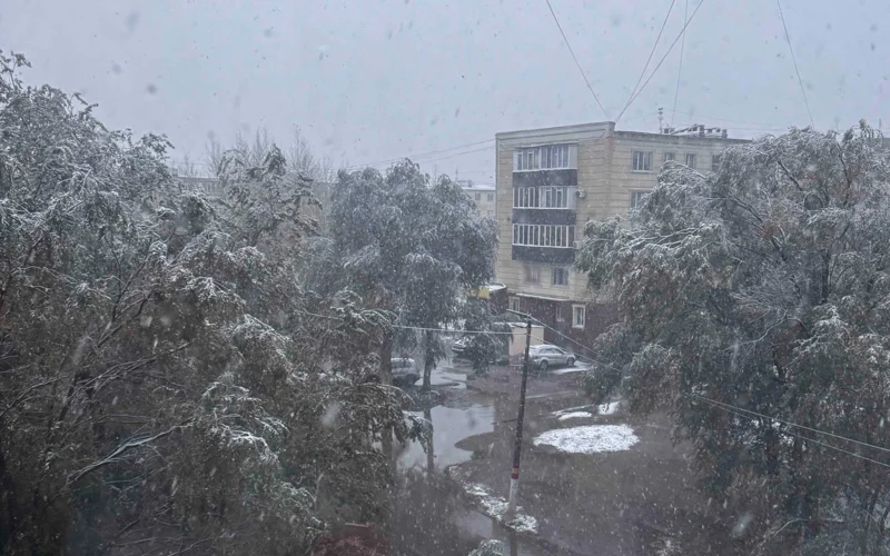 Сломанные деревья и отключение света: первый снег принес энергетический коллапс в Костанай