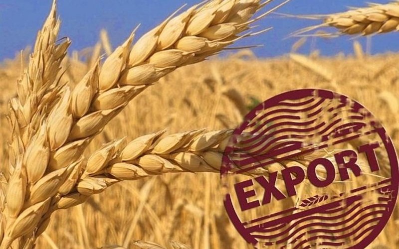 Экспорт казахстанского зерна нового урожая составил 777 тысяч тонн Экспорт казахстанского зерна нового урожая составил 777 тысяч тонн