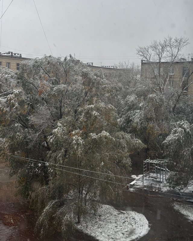 Qostanaı oblysyna qar tústi