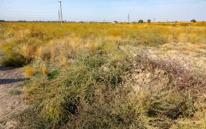 город Алатау