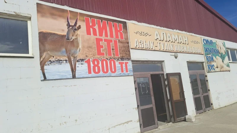 Атырауда киік ет комбинатында сойылып, еті базарда сатылады 