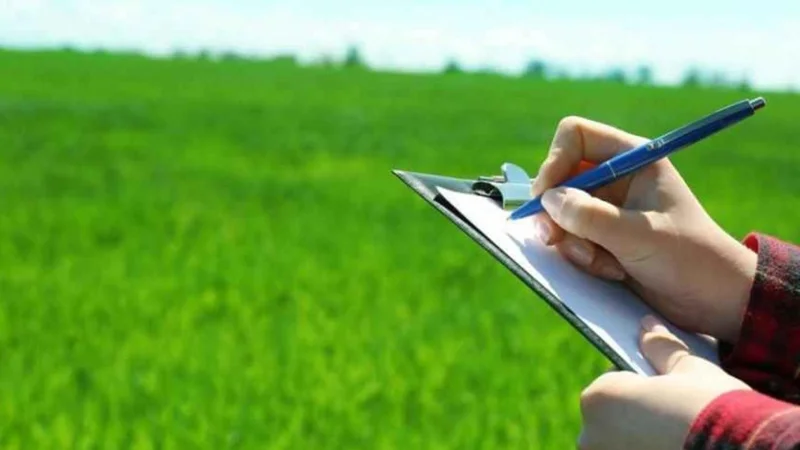 жер учаскесі