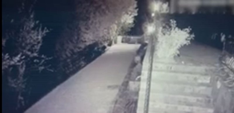 Алматыда кәсіпкердің үйін тонаған қарақшылар тобы ұсталды