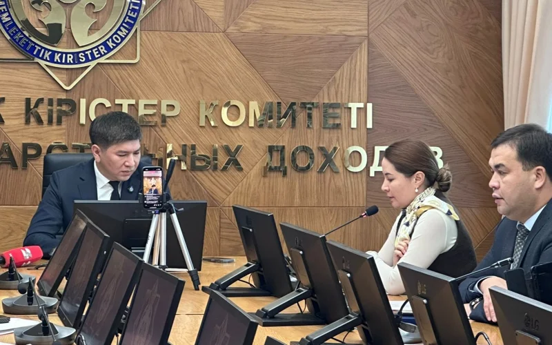 Цифровые налоговые системы уже охватывают 20,4 млн казахстанцев и 2,5 млн компаний