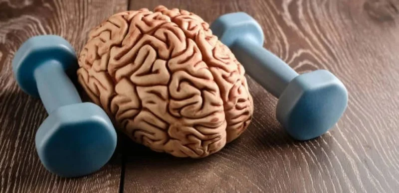 Есте сақтау қабілетін жақсарту