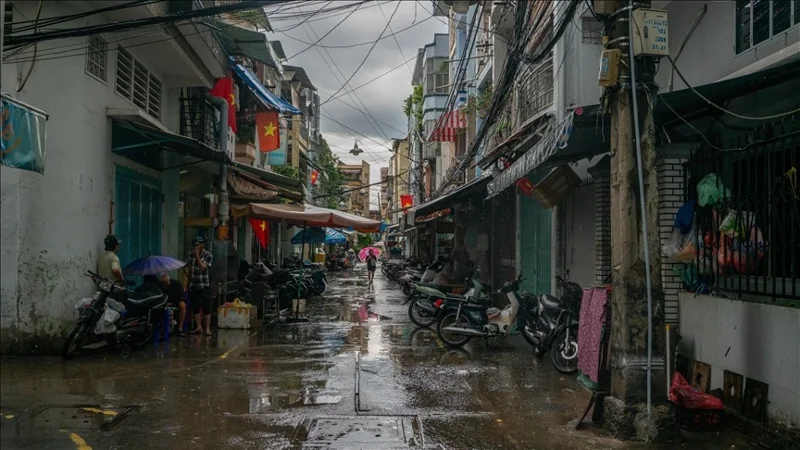 Death toll in Typhoon Bualoi in Vietnam climbs to 19 as thousands displaced: Report