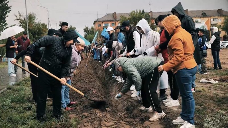 сенбілік