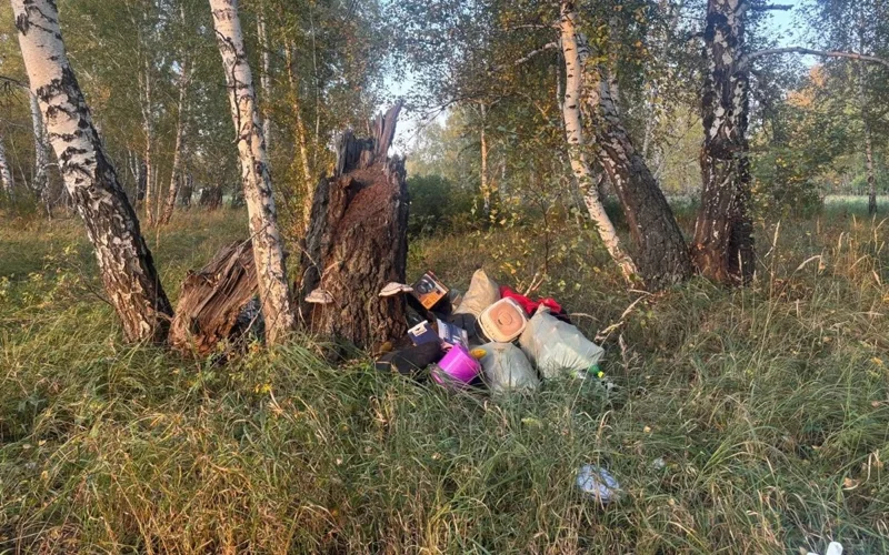 леса тонут в отходах в СКО