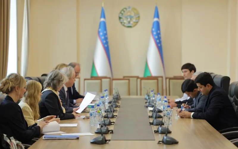 Uzbekistan, Sweden discuss joint projects in migration, environment, and reforms