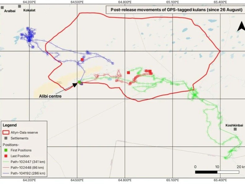 GPS data