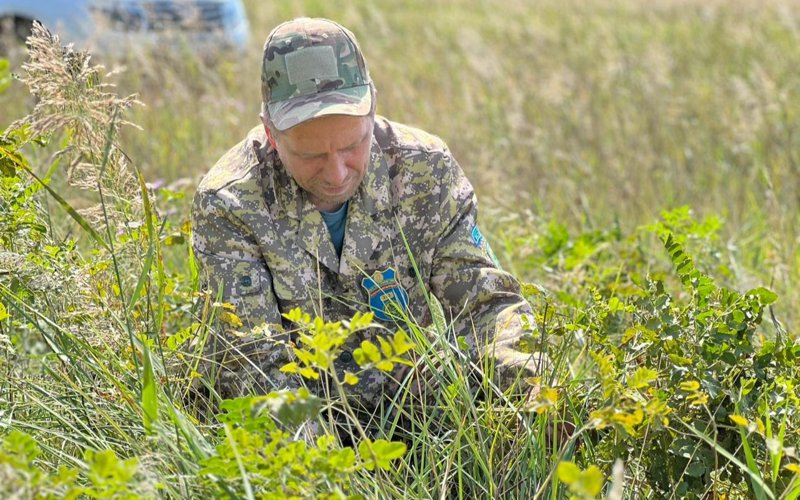 «Ертіс орманы» бұлан мен еліктің қысқы азығын қамдап жатыр