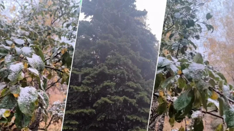 Snow falls