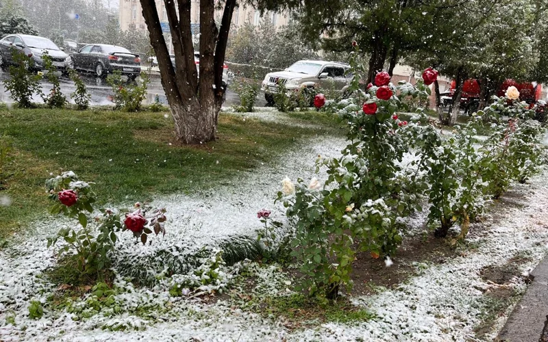 В Таразе выпал первый снег