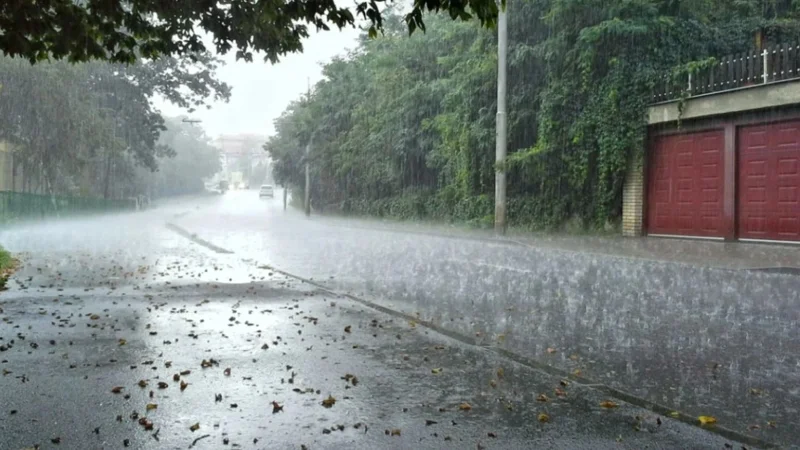 Rain