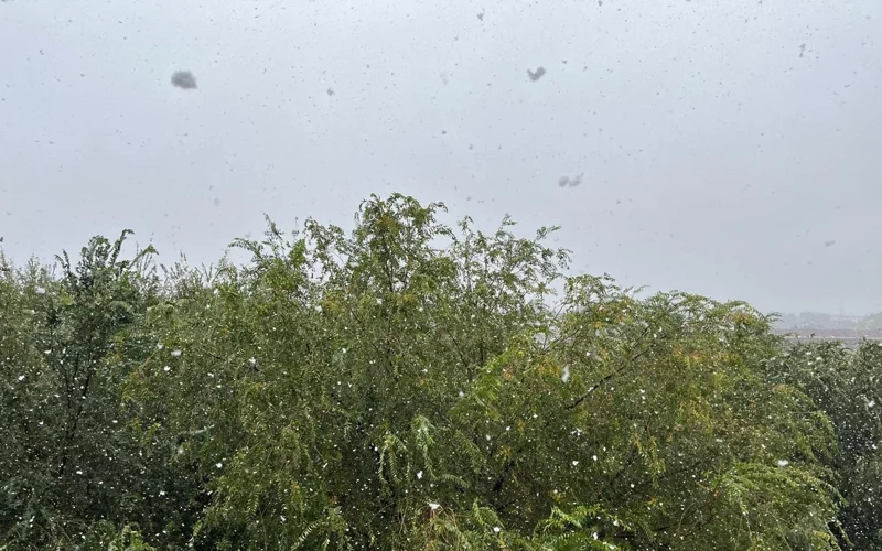 В Таразе выпал первый снег