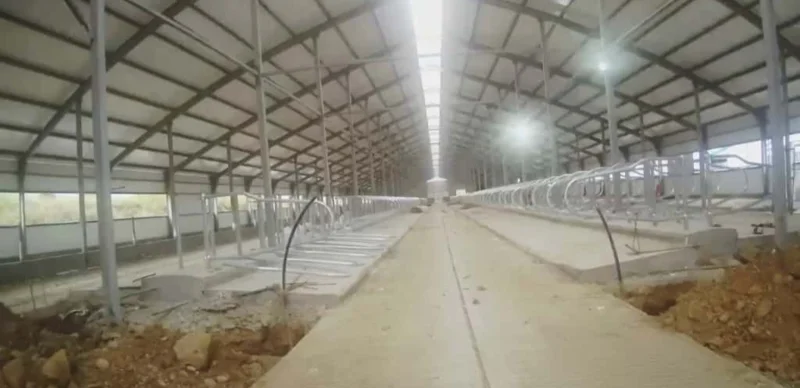 В ВКО приостановили деятельность предприятия за нарушение экологических норм