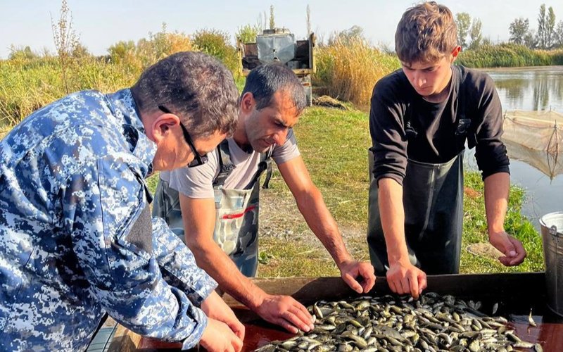 Астанадағы Есіл өзеніне 500 мыңнан астам тұқы шабағы мен ақ амур жіберілді