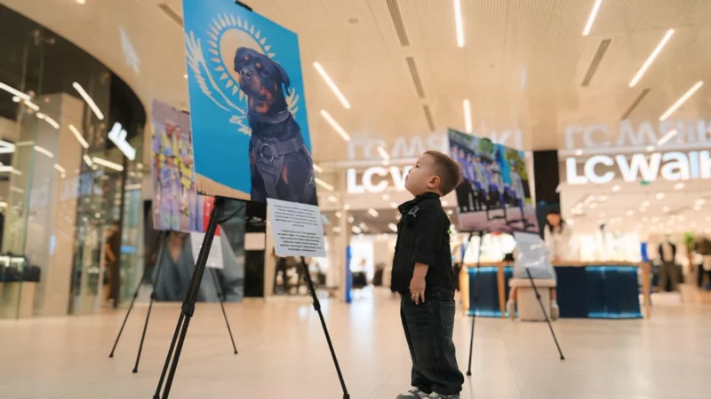 «Закон и Порядок»: уникальная фотовыставка прошла в Шымкенте