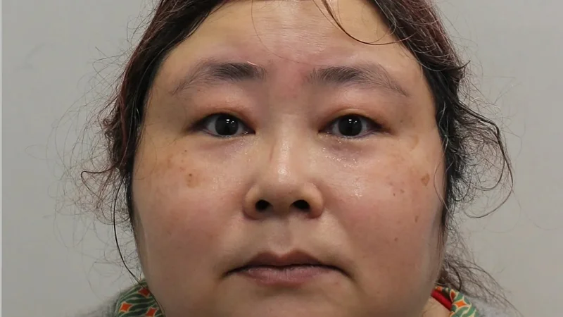 «Мошенница века» признала вину в суде Великобритании