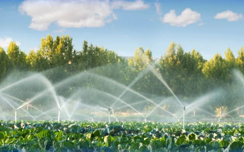 Площадь применения водосберегающих технологий в Казахстане выросла на 86%  