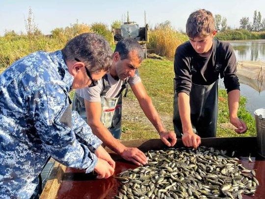 500 тысяч рыб выпустят в реку Есиль в Астане рыбы, Астана, река Есиль
