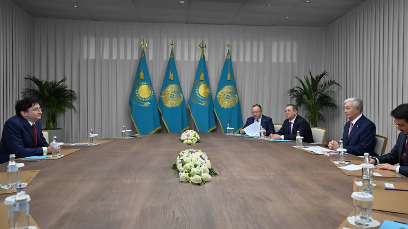 Tokayev meets Stanford University Professor Ilya Strebulaev