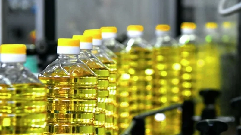 кунгабоқар ёғи