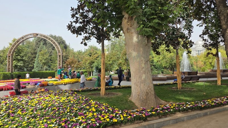 Dýshanbe Dýshanbe