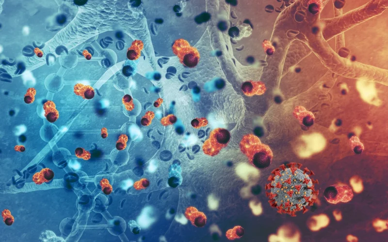 Skin cells, science