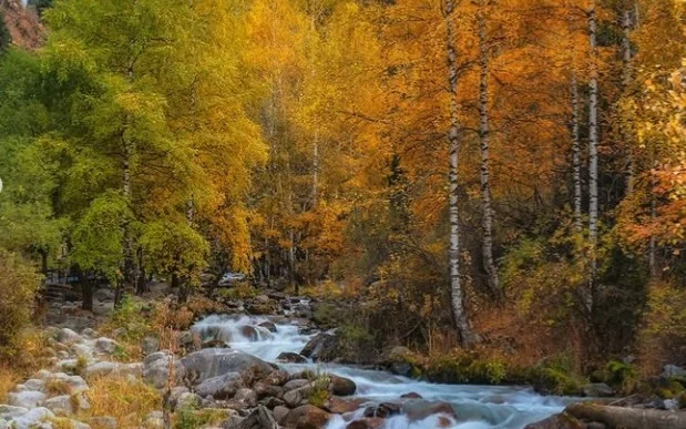 Autumn in the Almaty mountains: A symphony of colors and light