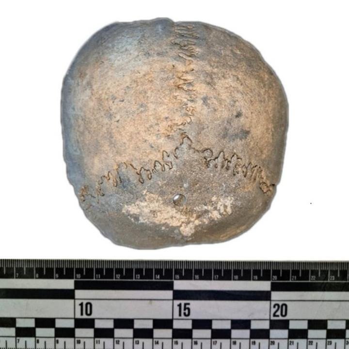 археологи археологи