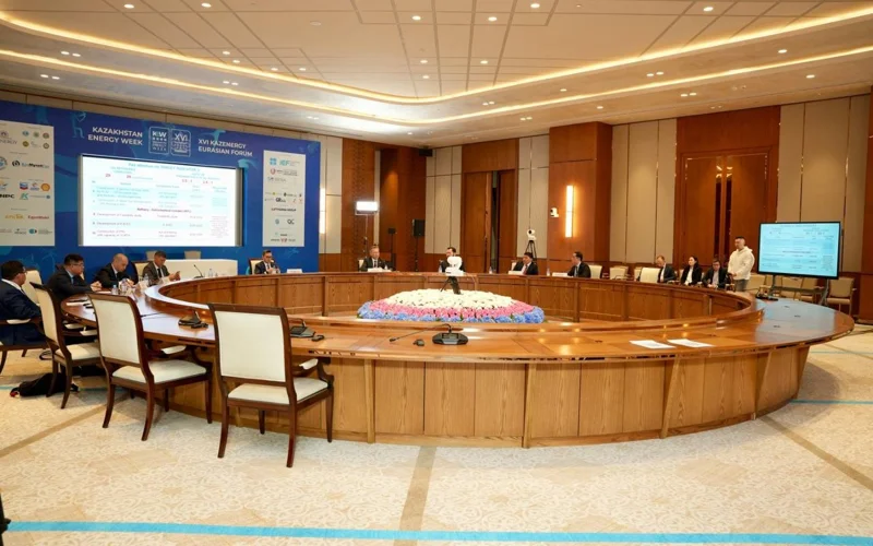 Энергетика министрлігі: мұнай-газ химиясы — бұл тек жаңа табыс көзі емес