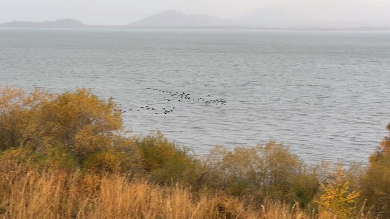 Маркаколь а